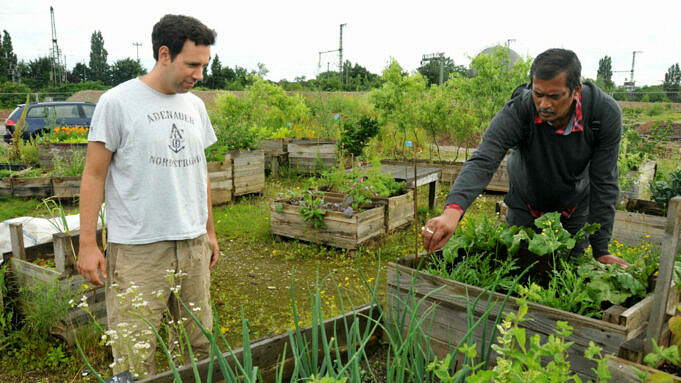 Eine Einfuehrung In Urban Farming Typen Ideen Und Vorteile