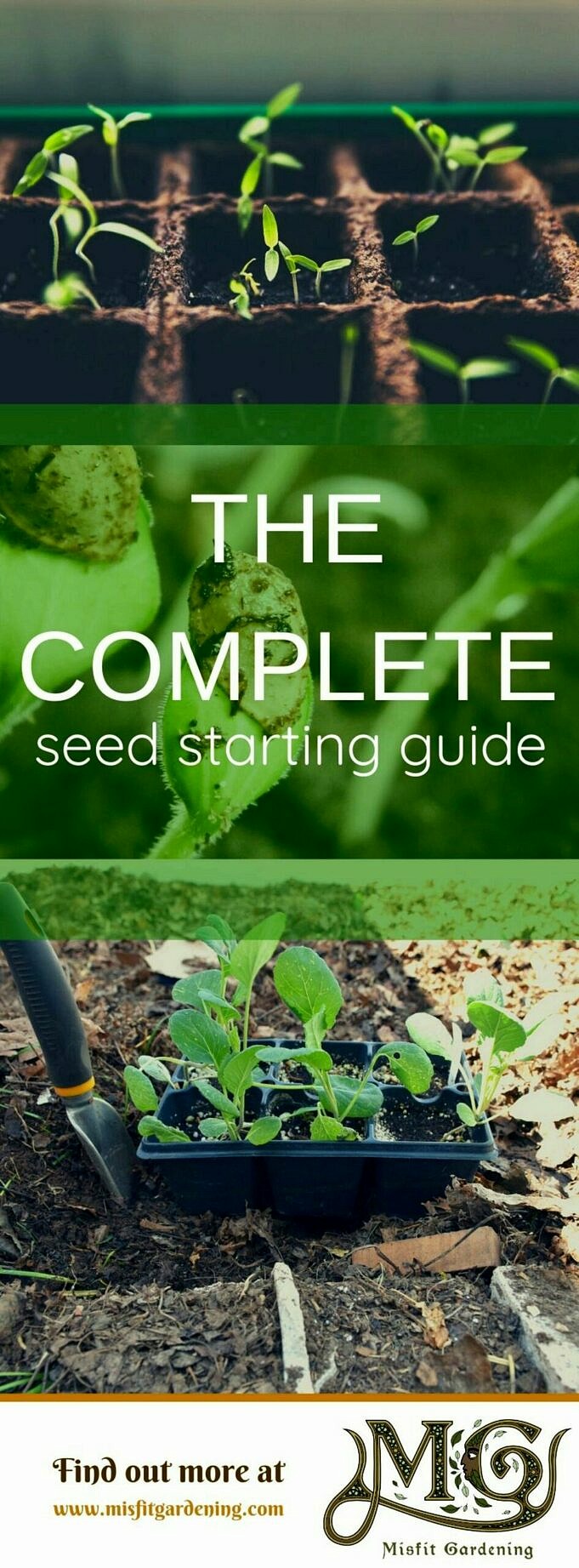 Wie Stellt Man Die Samen Startmischung Fuer Gemuese Und Gartenpflanzen Her scaled 1