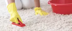 Wie verwendet man den NassTrockensauger zum Reinigen von Teppichen
